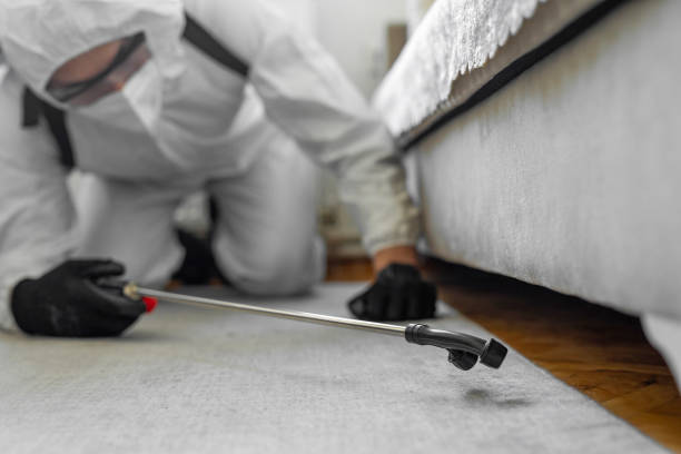 Professional Bed Bug Control technician working in Kings Park, NY