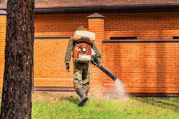 Trusted Rodent Control service in Kings Park, NY - Nex Pest Control